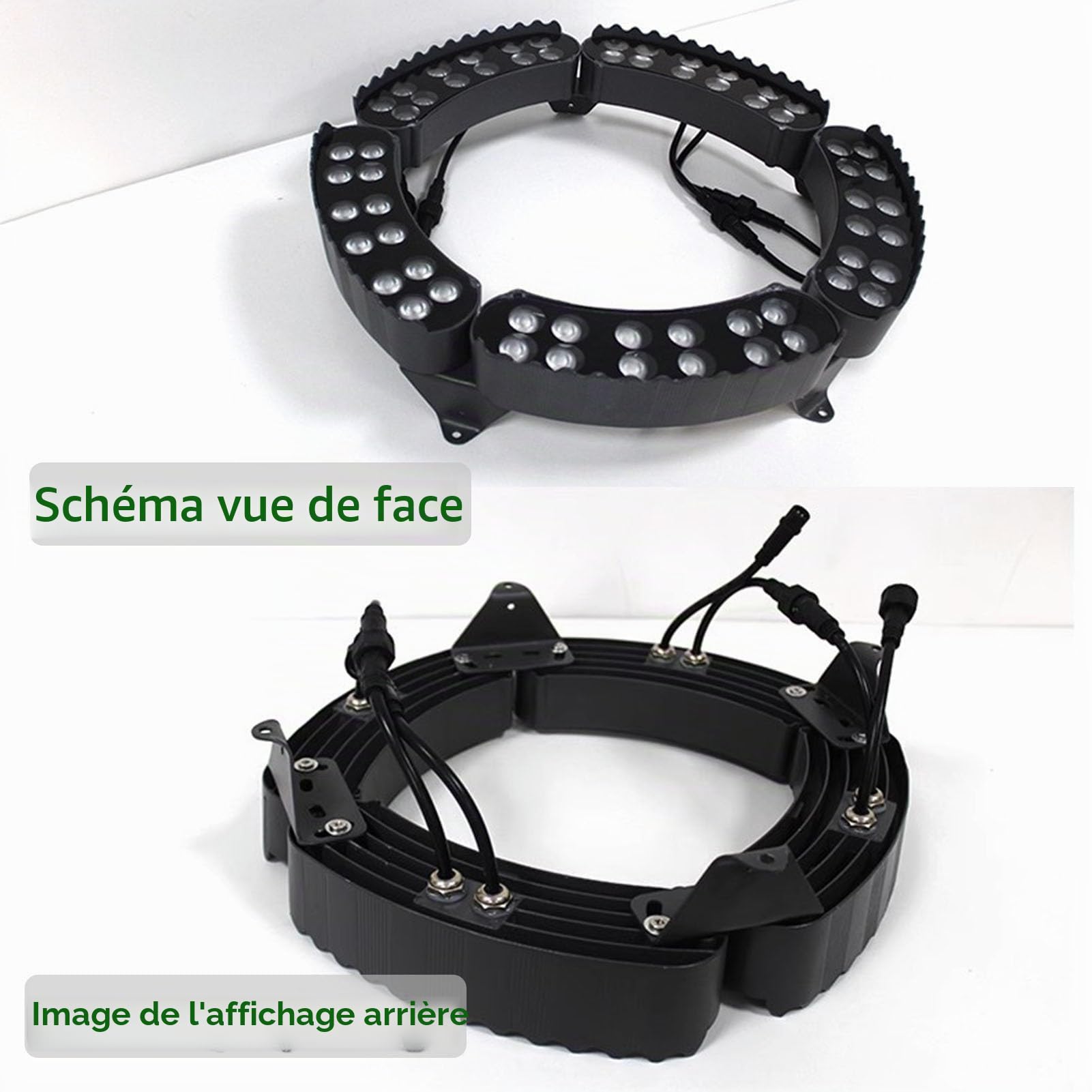 Anneau lumineux Projecteur LED circulaire d'extérieur en forme de palmier, 7 couleurs, changement de couleur automatique en 5 secondes, 220 V CA.(6 SETS)