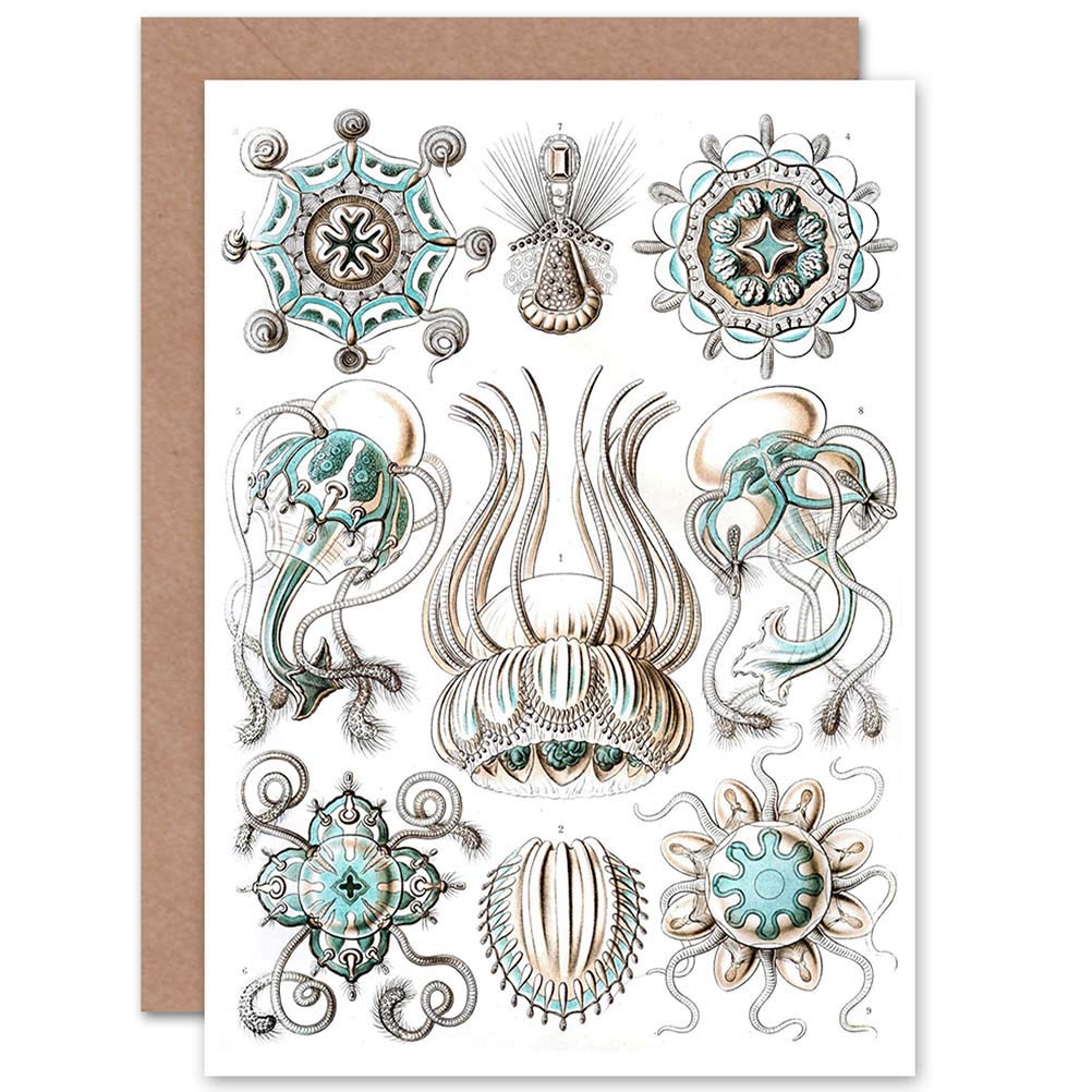 Wee Blue Coo NATURE ERNST HAECKEL BIOLOGY GERMANY BIRTHDAY BLANK GREETINGS CARD