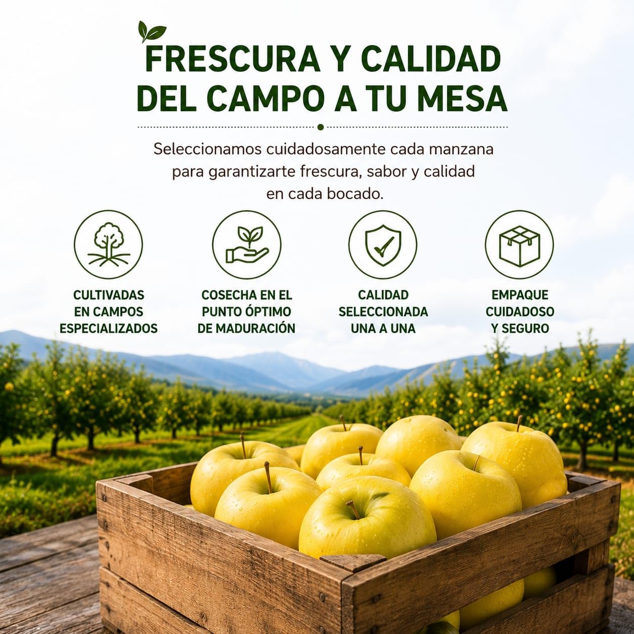 Manzanas Golden Frescas 9 kg – Dulces, Crujientes y Jugosas – Ideales para Consumo Diario, Postres y Zumos – Envío Directo del Productor