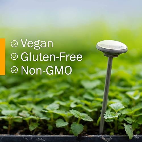 Miniatura 6 de Herb Pharm Extracto líquido de raíz roja para limpieza y desintoxicación, 1 onza (DRROOT01) (paquete de 2)