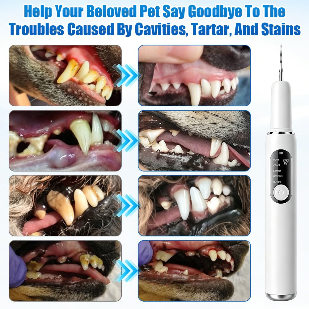 Ablatore Tartaro Ultrasuoni, IPX6 Spazzolino Ultrasuoni Cane, Kit Pulizia Denti Animali Domestici con Luce LED, Pulisci Togli Tartaro E Macchie per Cani E Gatti