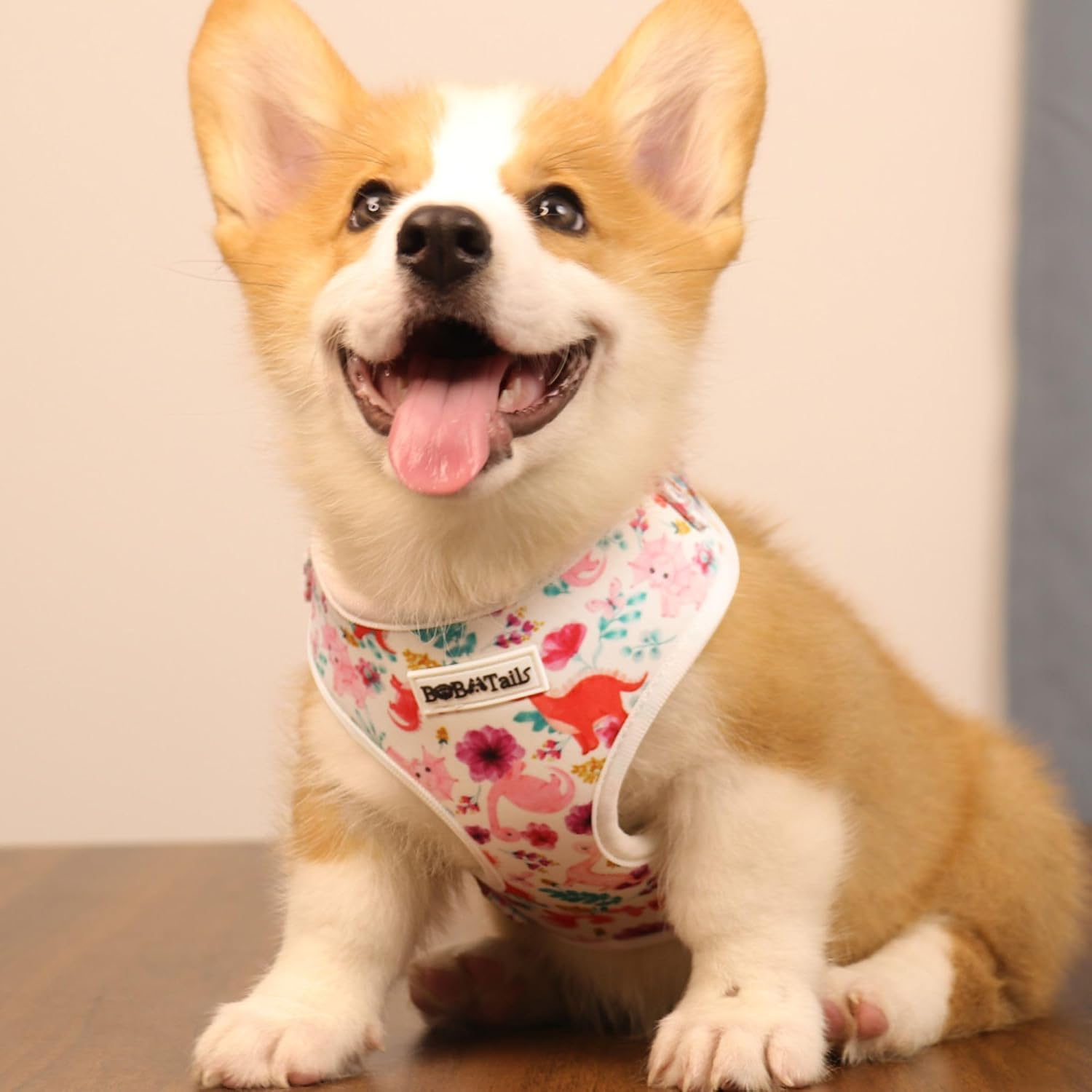 Dinosaur Print Adjustable Dog Harness for Small & Medium Dogs, Soft Breathable No Pull Vest Harness with Premium Fabric, Secure Fit and Stylish Durable Hardware for Everyday Walks(XS) image 2