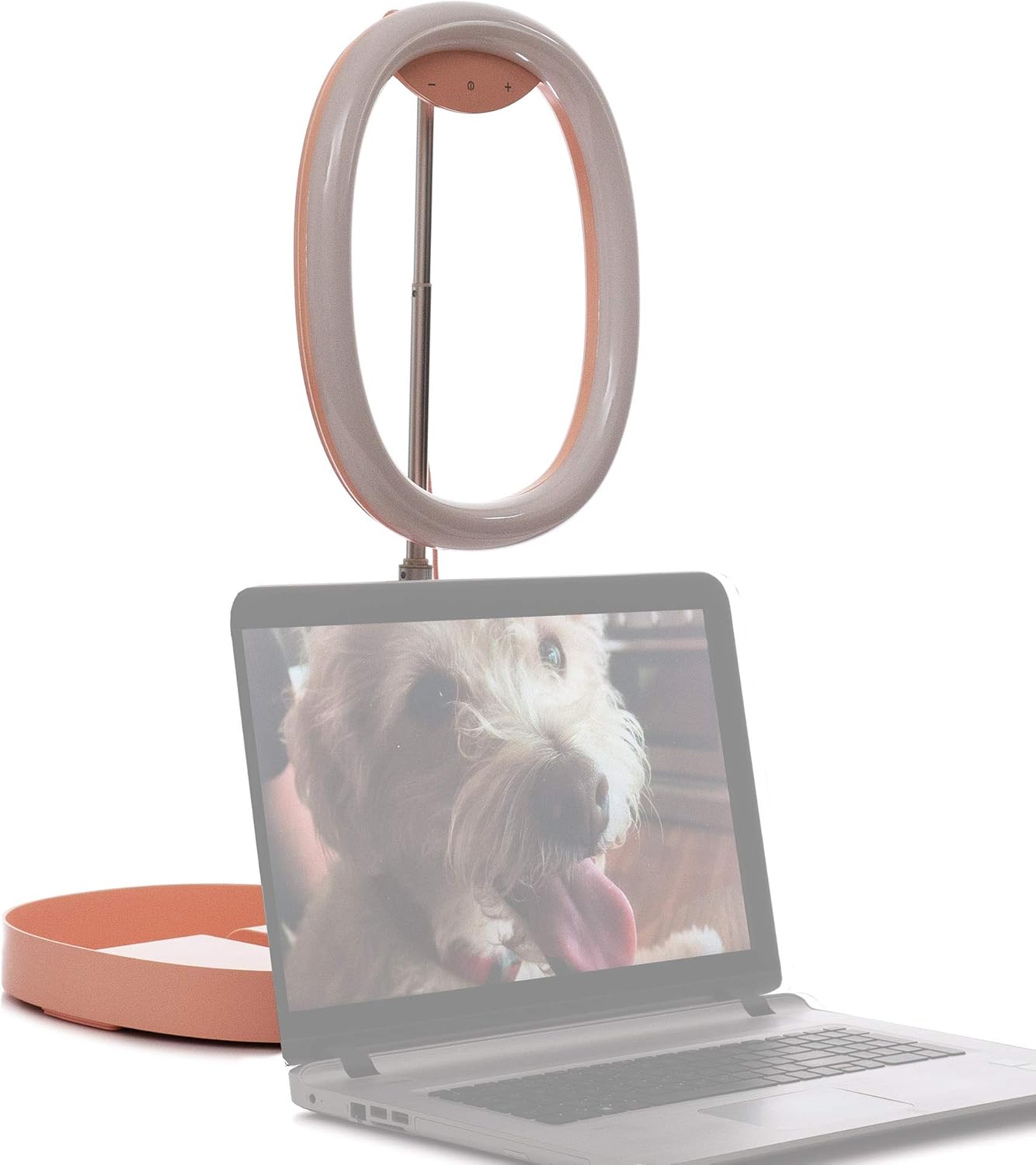 Super Big Clearance! Vlog-Gear The Oval Ringlight in Pink - The Best Desktop Ring Light Flash Deals - 60% OFF Vlog-Gear The Oval Ringlight in Pink - The Best Desktop Ring Light
