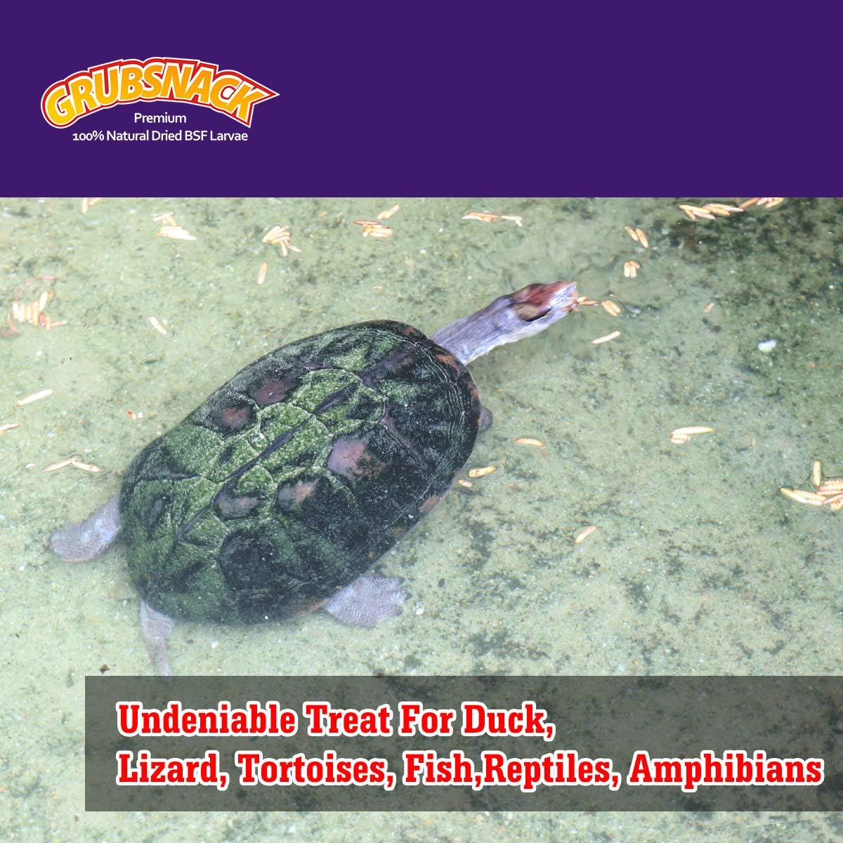 Zower 2 lbs Natural Meally Worms-Dried Black Soldier Fly Larvae,Rich-Protein Scratch Treats with Over 85X More Calcium Than Dried Mealworms for Chicken,Egg Laying hens,Birds,Amphibians and Reptiles : Pet Supplies