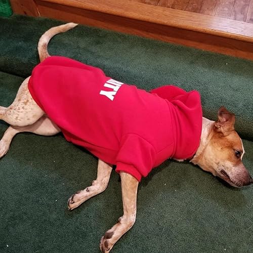 Miniatura 6 de BINGPET Sudaderas con capucha de seguridad para perros, suéter para cachorros, abrigos para perros y gatos, suave forro polar cepillado