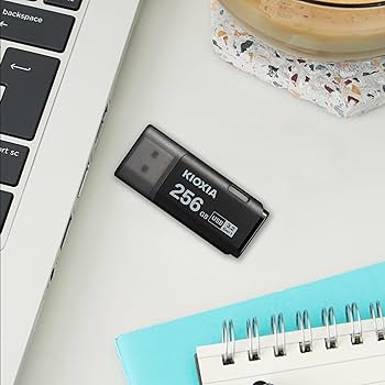 KIOXIA, Former Toshiba Memory, USB Flash Memory 256 GB, USB3.2