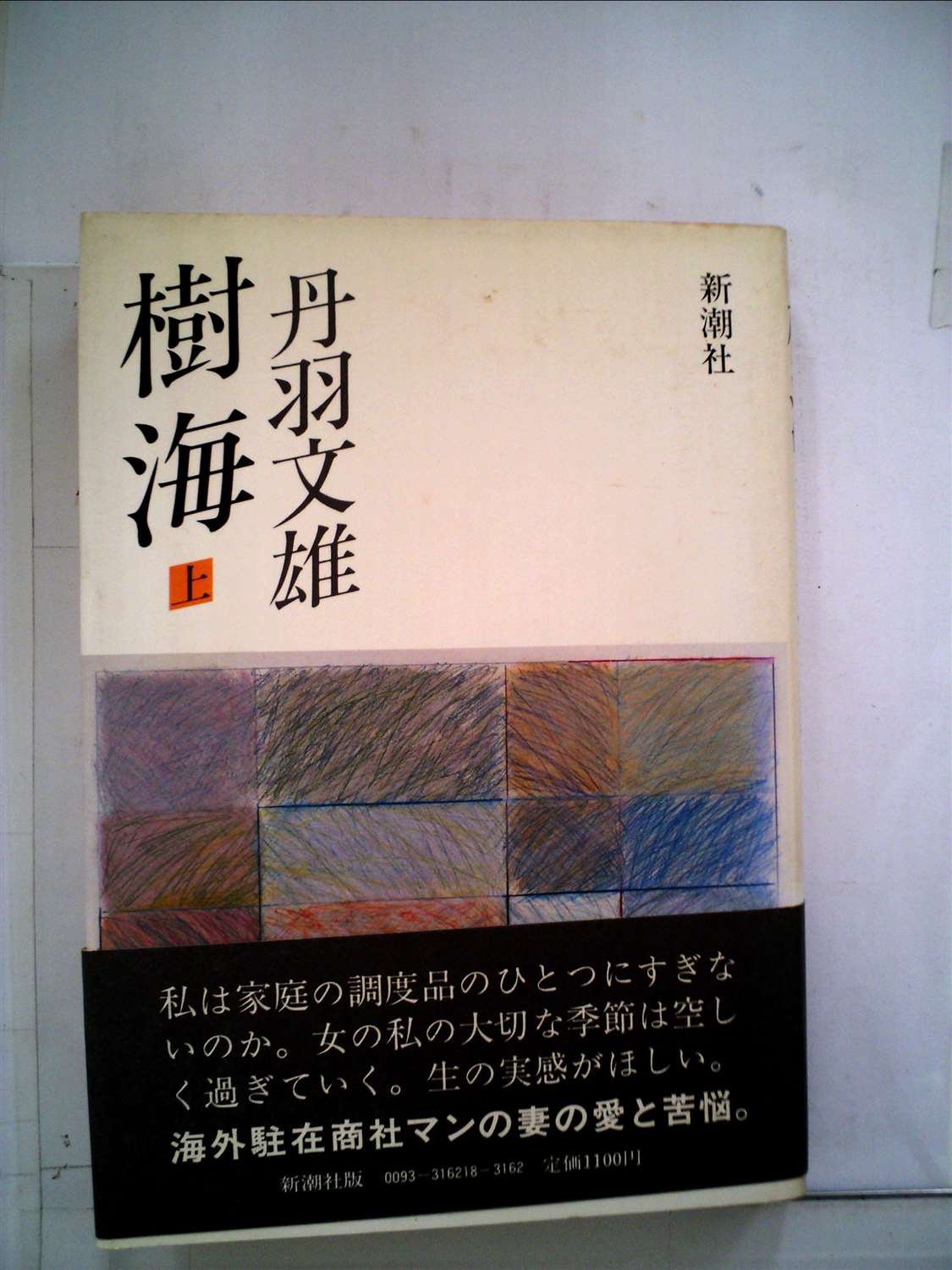 Amazon.co.jp: 丹羽 文雄: 本、バイオグラフィー、最新アップデート