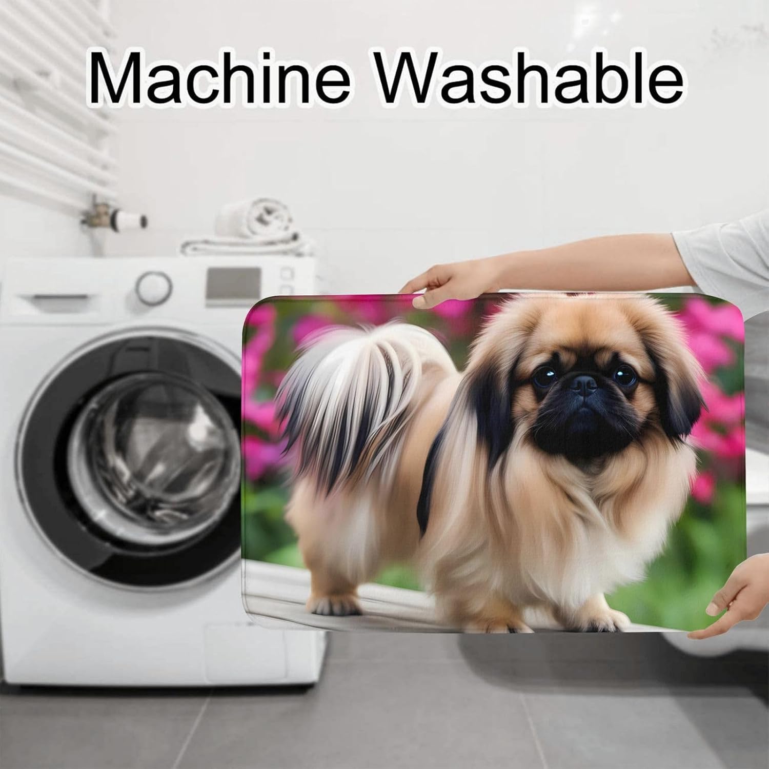 Cute Pekingese