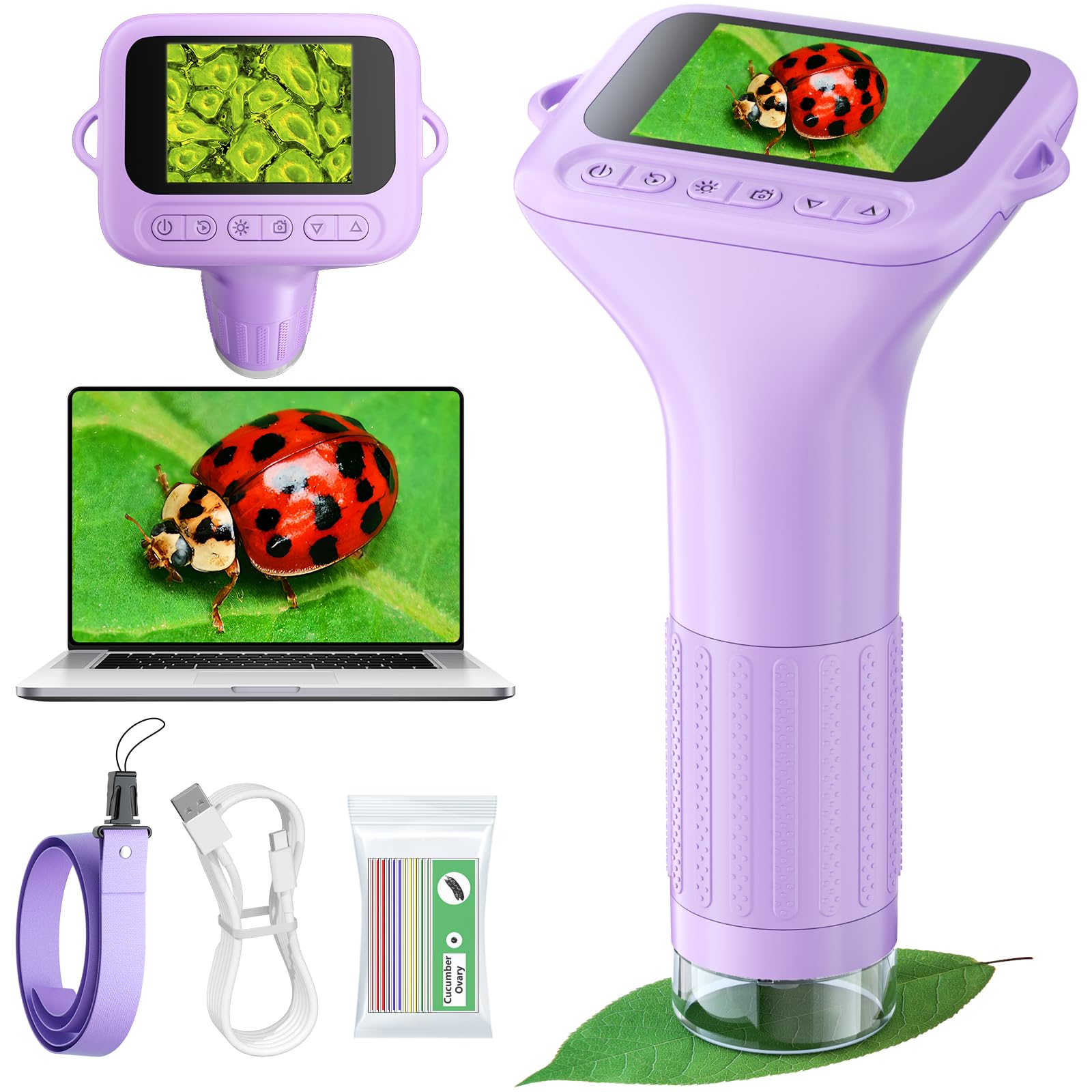 Amazon.com: Odatay Microscope for Kids with 12 Slides, 100X-1000X
