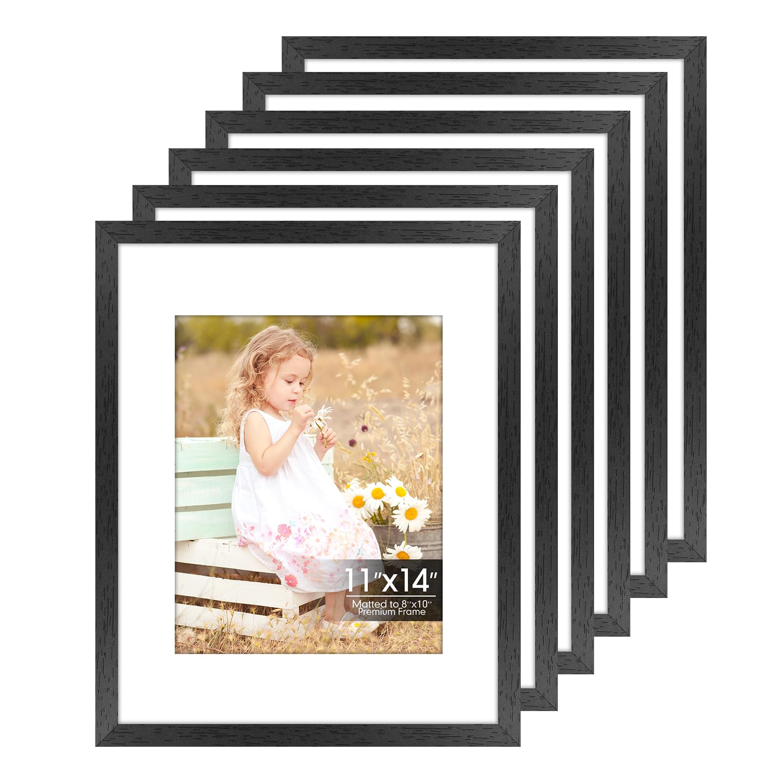 6 Pack 11x14 Frames, Mat for 8x10 Photos, Shatter HD Plexiglass