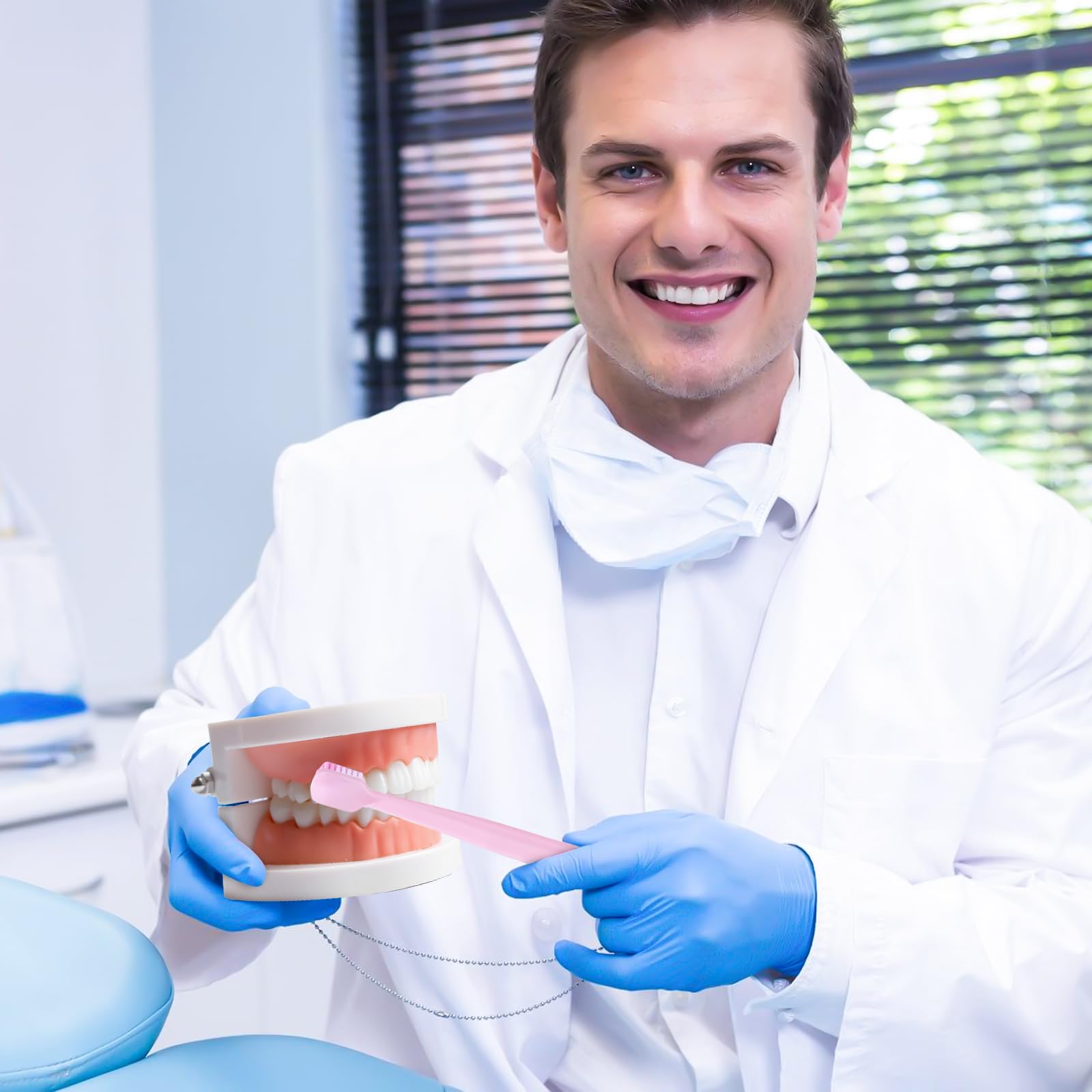 Zähne Dental Demonstrationsmodell, Mit 2 Zahnbürste, Gebiss Modell Demonstration Erwachsene Kinder, Zahnmodell Standard Teaching, Anatomisches Zahnmodell Für Zahnunterricht Oder Mundpflege