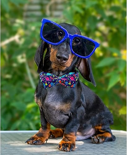 Miniatura 6 de Lionheart glory Collar para perro, collar azul con lazo ajustable de dinosaurio para perros medianos, regalo para mascotas