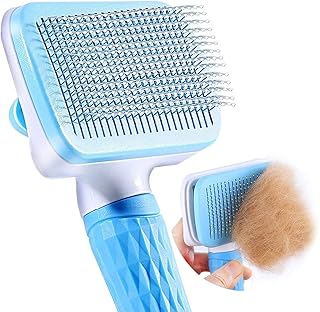 labrador grooming brush