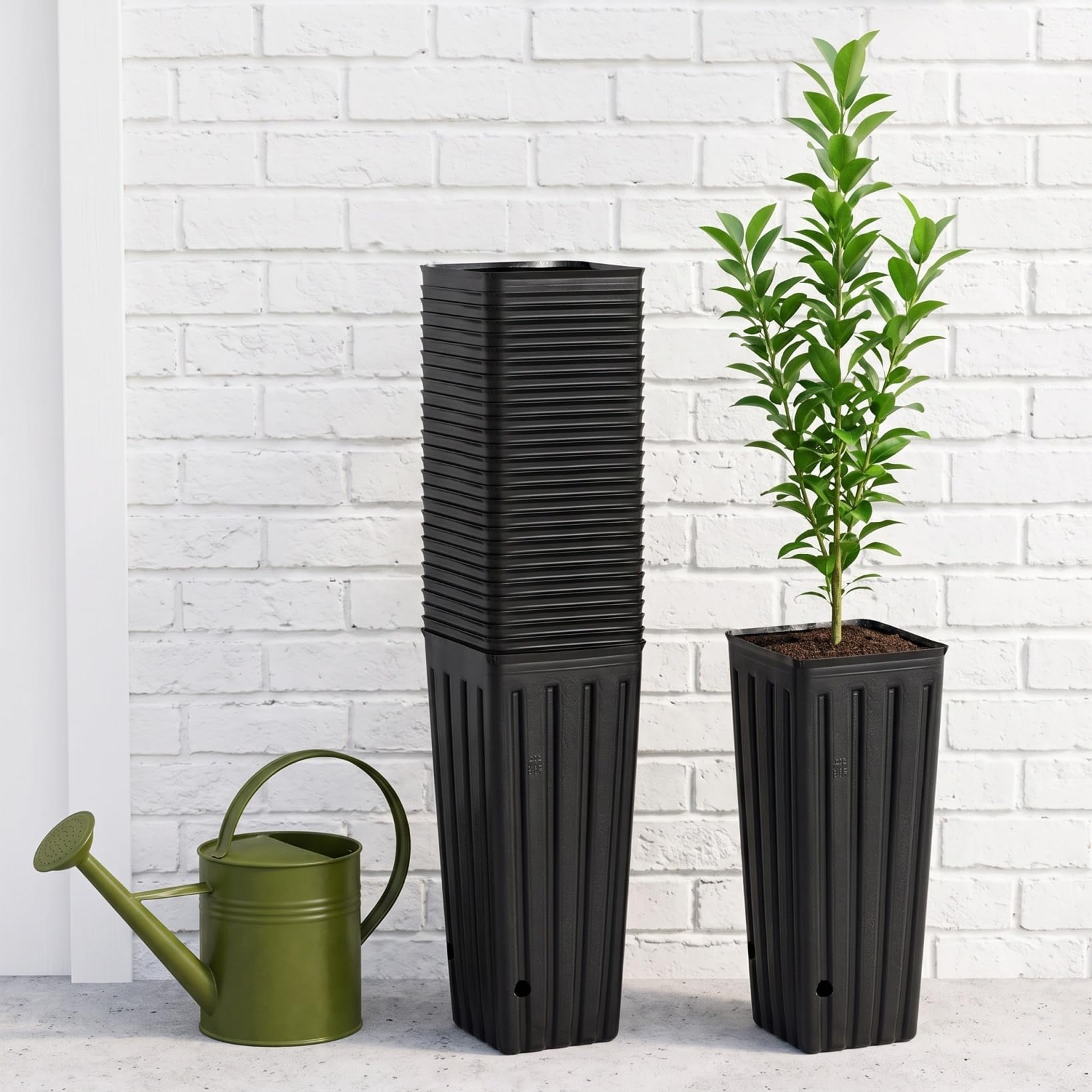 BESPORTBLE Lot de 50 Pots de Fleurs en Plastique Profonds, de 30,5 cm, Noirs, avec Trous de Drainage, pour Le Jardinage, 3 x 11 cm (l x H)