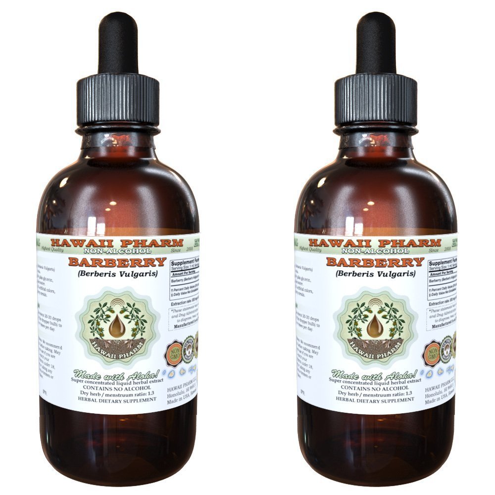 Barberry Alcohol-Free Liquid Extract, Organic Barberry (Berberis Vulgaris) Dried Root Bark Glycerite Hawaii Pharm Natural Herbal Supplement 2x4 oz