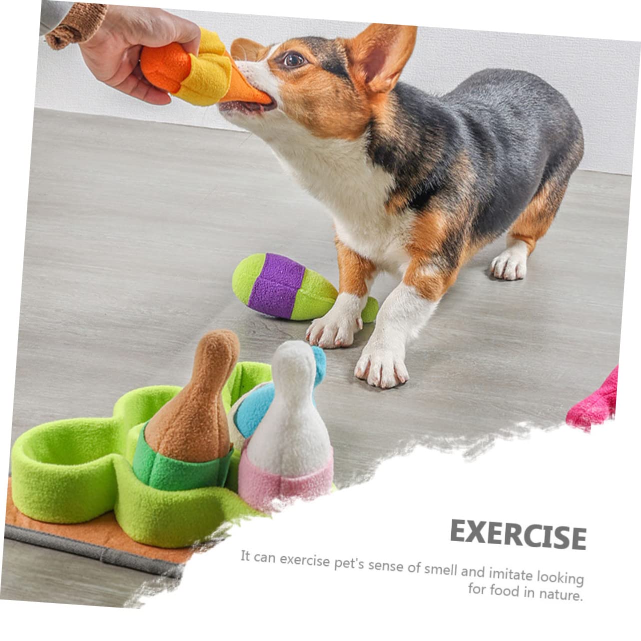 WOONEKY Tappeto Sensoriale in Pile Polare Resistente a Forma di Bowling Cane Giocattolo per Cani per Esercitare L'olfatto e Consumare Energia, per Cuccioli e Animali Domestici
