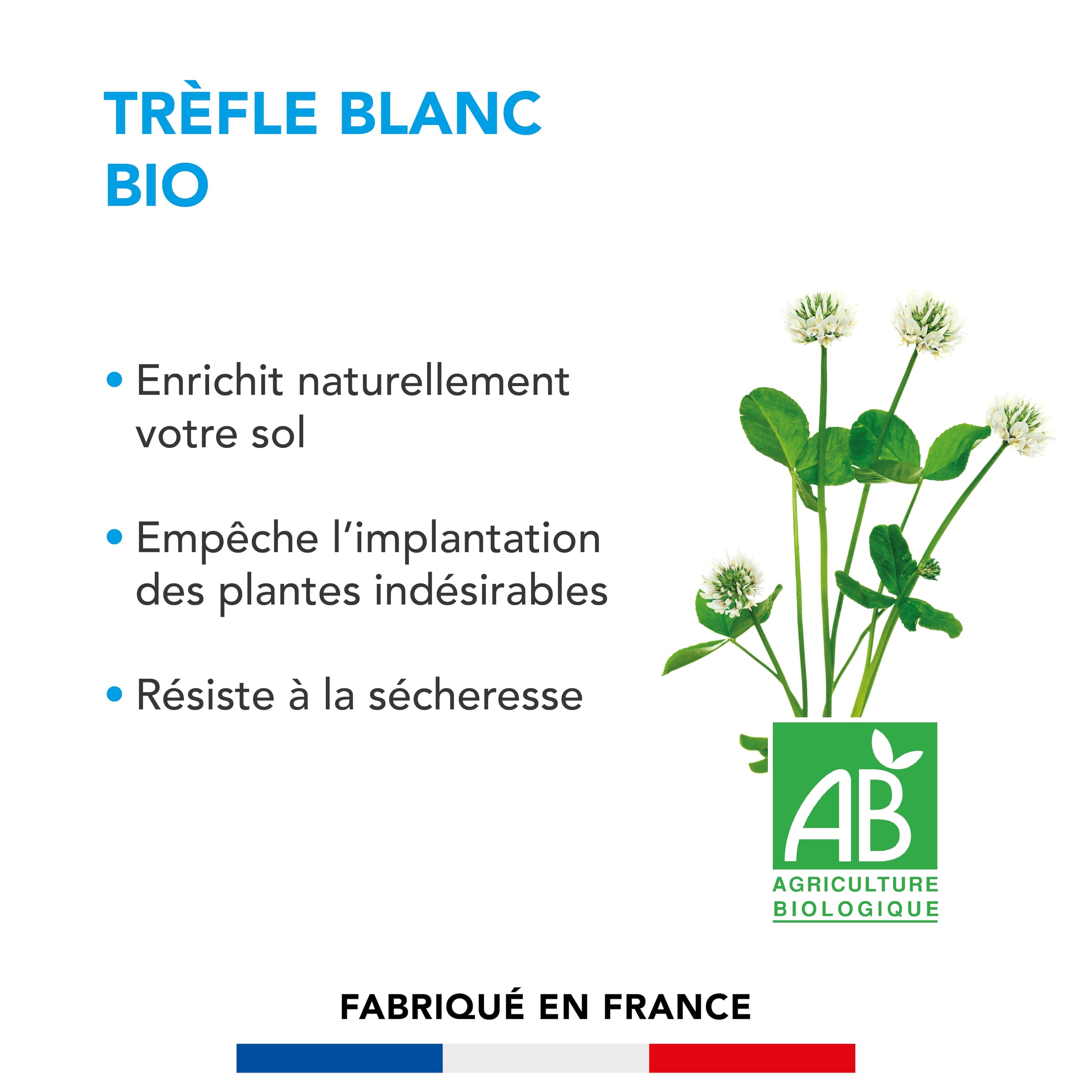 BARENBRUG - Trèfle blanc BIO - Enrichit Naturellement Sol - 500G | Limite les Mauvaises Herbes - Résiste à la Sécheresse - Enrichit le Sol - Fabriqué en France