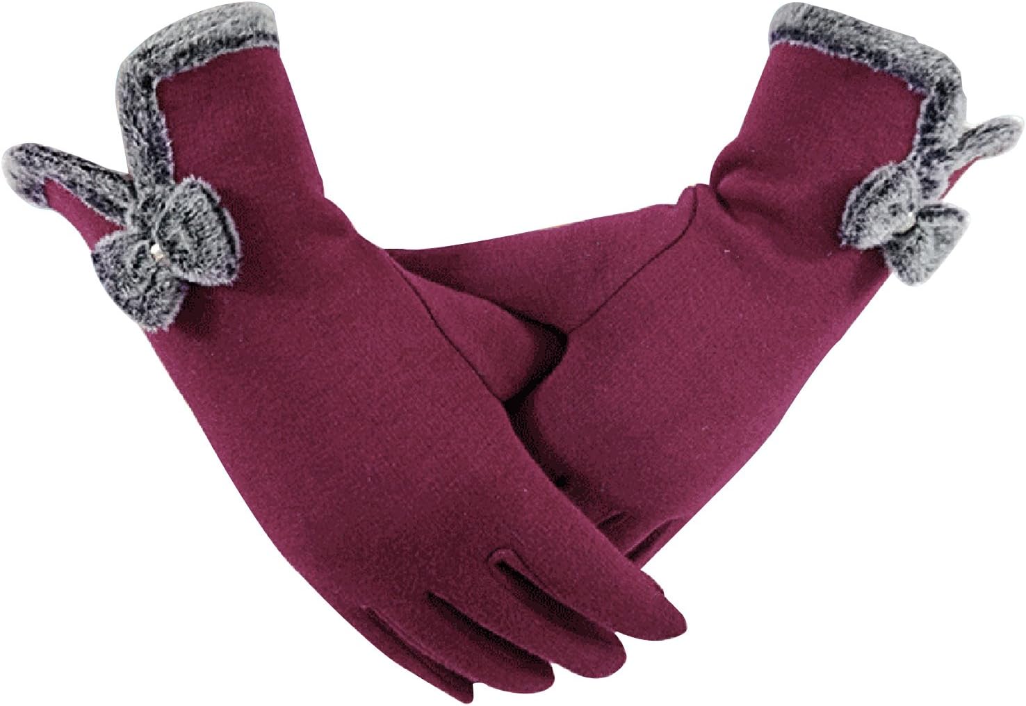 Womens Winter Warm Touchscreen Gloves, Phone Touch Screen Texting Gloves for Smartphones