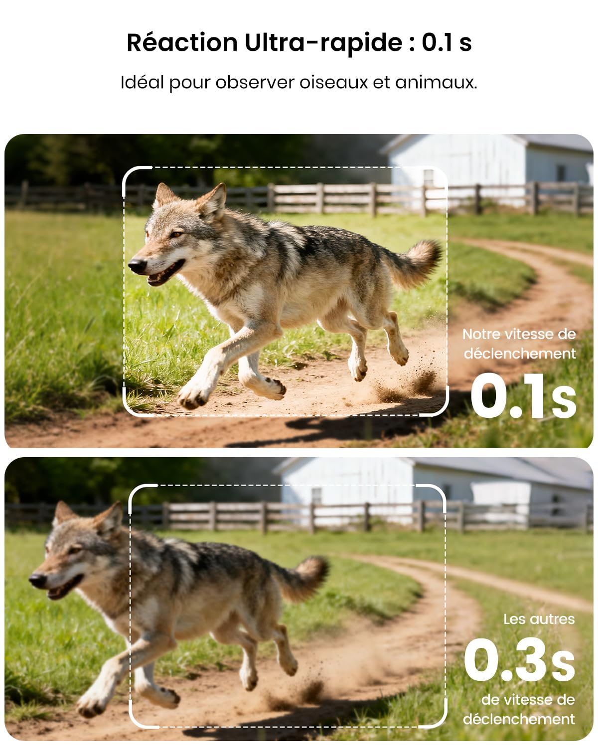 Misstech Caméra de Chasse Solaire 4K 64MP, Vision Nocturne, sans Abonnement | Déclenchement 0,1s, Vision Nocturne, IP66 Étanche, Stockage Local, Idéal pour Jardin, Ferme, Forêt et Observation de la Faune