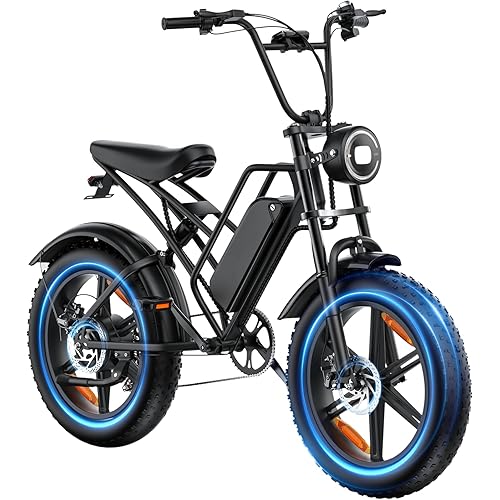 E500 Electric Bike for Adults 1000W Peak Motor, 20" Fat Tire Dirt E-Bike with 35MPH, 40 Miles PAS Range, Electric Bicycles with 48V Removable Battery, 7-Speed E Bike for Mountain Beach Sand Road Snow