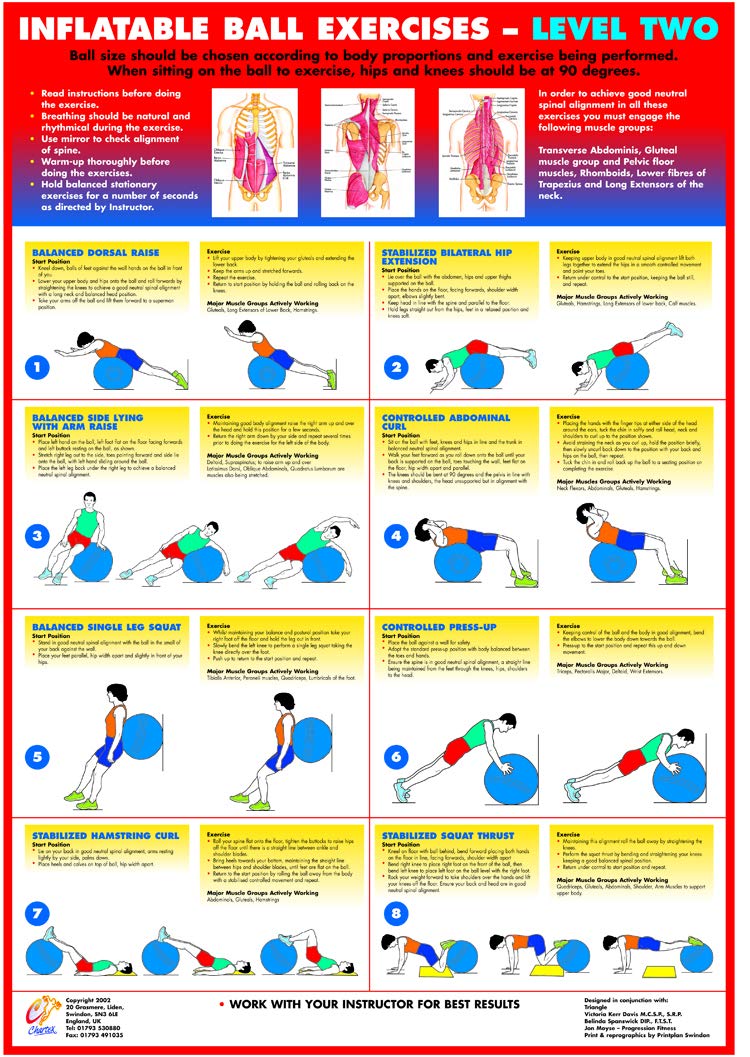 Gym Ball Exercise Chart Series (A3 Laminated, Level 2)