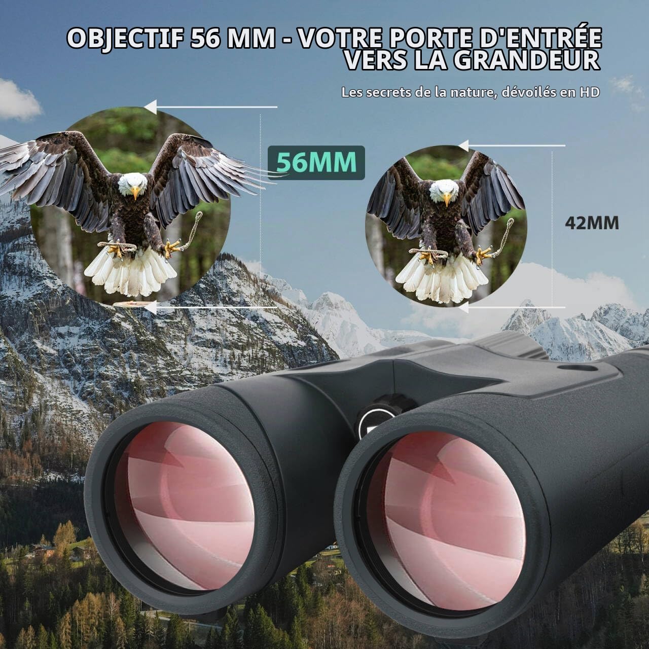 Jumelles 12x50 pour Adultes Jumelles Professionnelles Haute Puissance pour l'observation des Oiseaux avec Vision Nocturne en Basse lumière,étanches et antibuée pour la Chasse