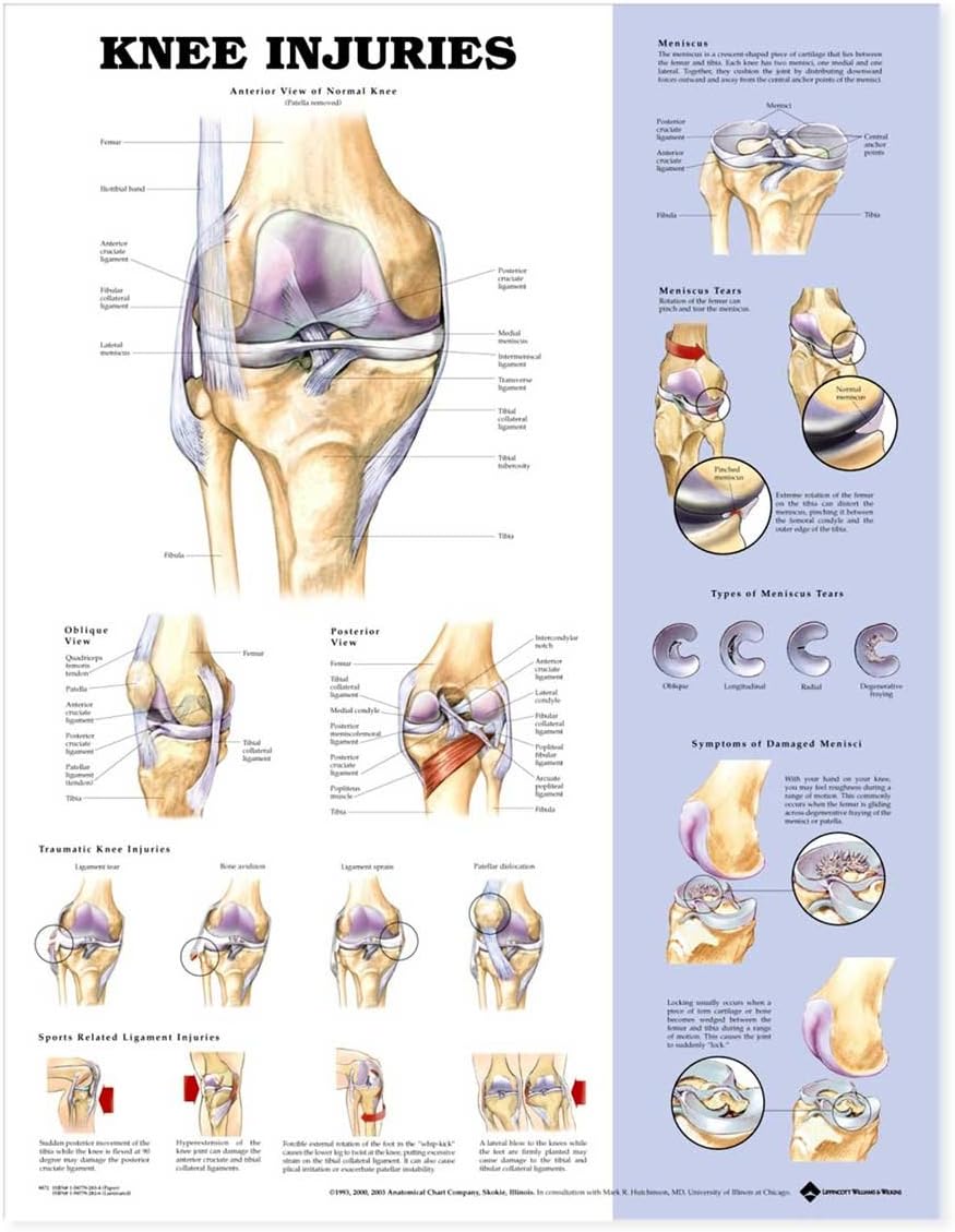 Knee Injuries Chart