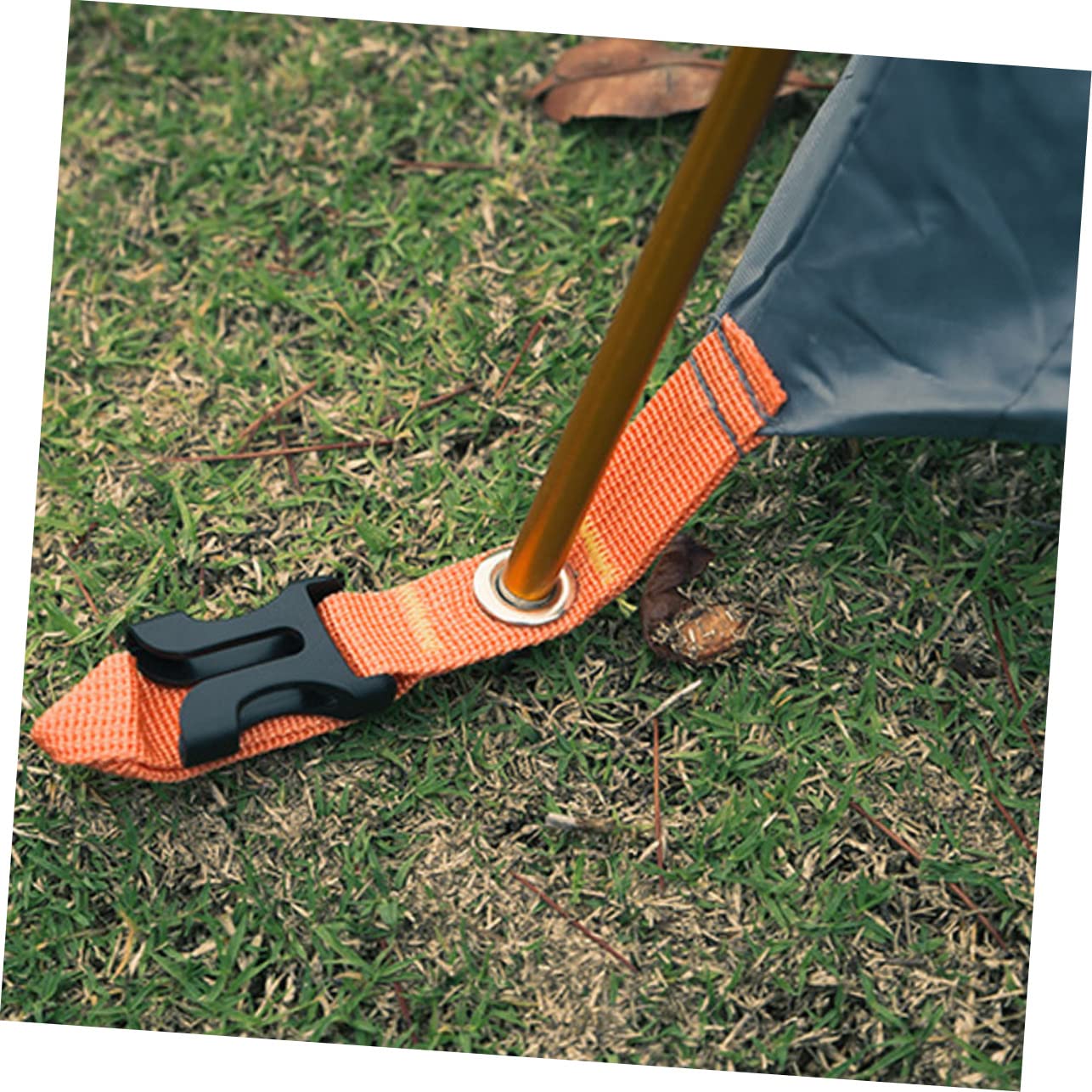 Zeltstangen Unterstützung Wandern Camping Pole Einsatz Flexibler Zeltstab Leichte Zeltstange Stangen für Zeltüberdachungen Stock für Zelt Aluminiumlegierung Golden