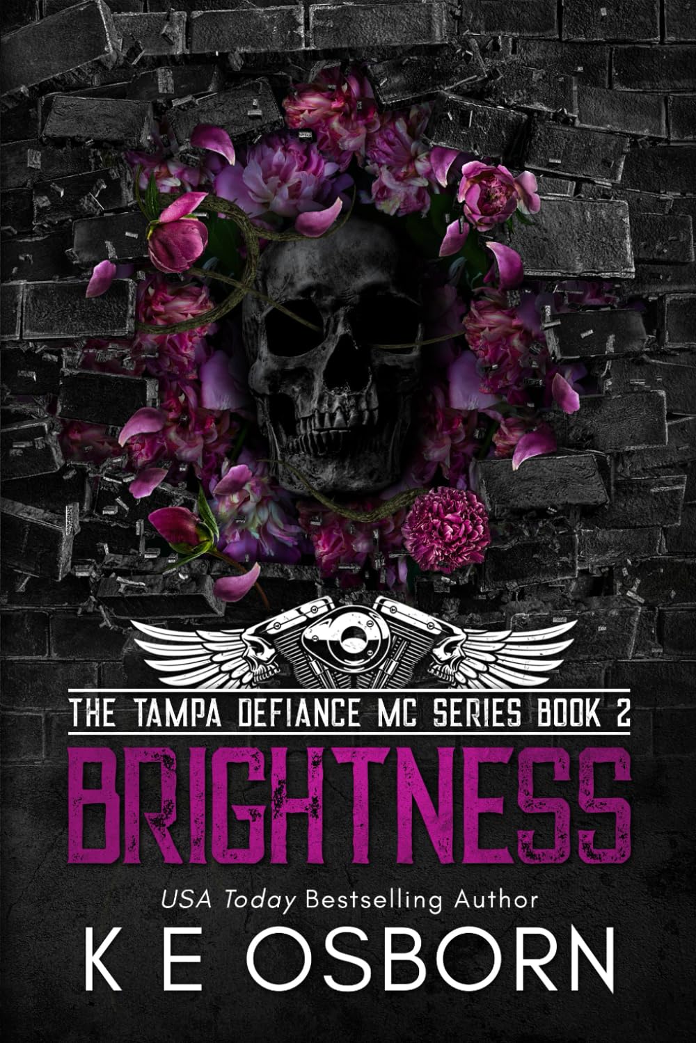 Brightness (The Tampa Defiance MC Series)