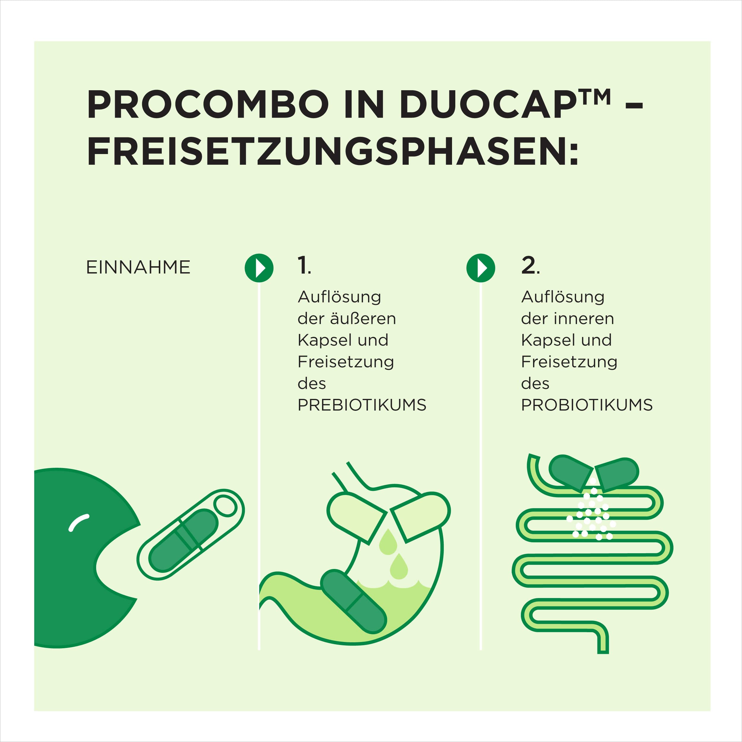 ProCombo – das smarte Synbiotikum mit gezielter Ausrichtung der "guten" Bakterien. Doppelkapsel und flüssige Formel für schnelle Ergebnisse. 1 Kapsel pro Tag. Laborgeprüft (30 Kapseln)