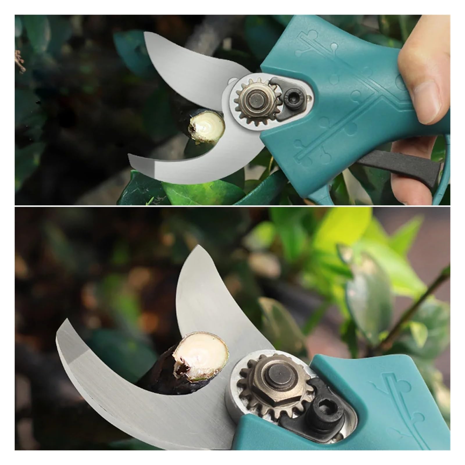 Podadora eléctrica de 4 engranajes, tijeras podar sin escobillas, podadora inalámbrica alimentada por litio, poda bonsái árboles frutales con 2 baterías,Serie profesional(2x Battery-01)