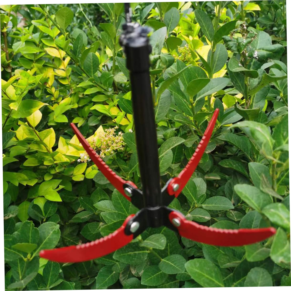 Wasserankermesser aus Edelstahl mit Sägezahndesign Klappbar für Entfernen von Wasserpflanzen und Unkraut in Teichen und Schwimmbädern Gartengerät Zufällige Farbe