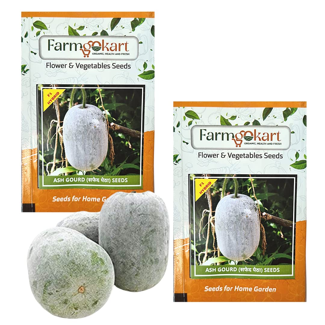 2 Packets of ASH GOURD (SAFED PETHA) HYBRID F1 SEEDS | 20 Seeds Per Packet |Best Suitable For Terrace And Home Gardening | Quality vegetable and Herbs Seeds Pouch| (B0BQDLZQFR) Amazon Price History, Amazon Price Tracker