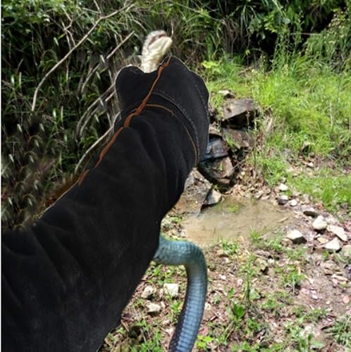 Miniatura 6 de Lessbad Lifeunion - Guantes de protección animal antimordeduras y arañazos, para perro, gato, pájaro, reptil y serpiente (color negro-1)