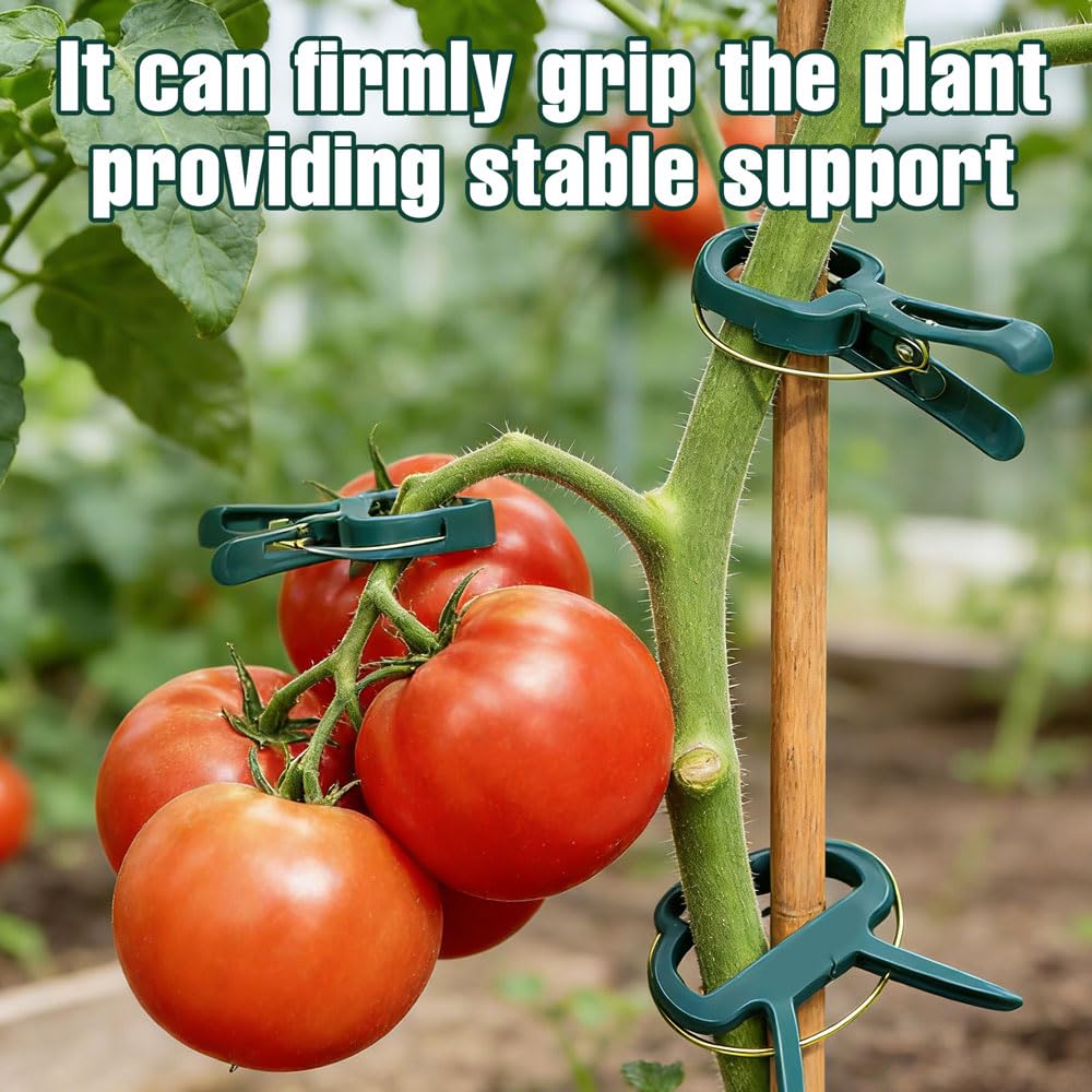 100 Pieces Clips Tomate Clips pour Plantes, Attache Tomates Clips Réutilisable, Attache Tomate, Attache Plante, Attaches de Plantes pour Tomates, Concombres, Roses