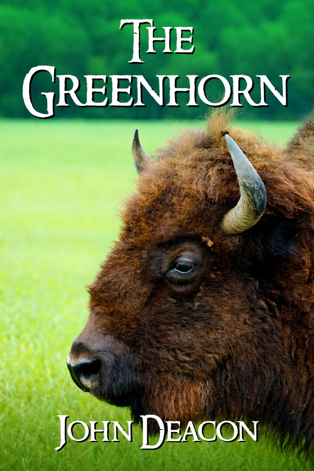 The Greenhorn: 1 (Fletch and Faith)