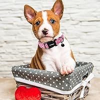 Vista 187 de DOGWONG Collar de perro Airtag de algodón y cáñamo, collar resistente para perros con soporte para Airtag, collares verdes para perros pequeños