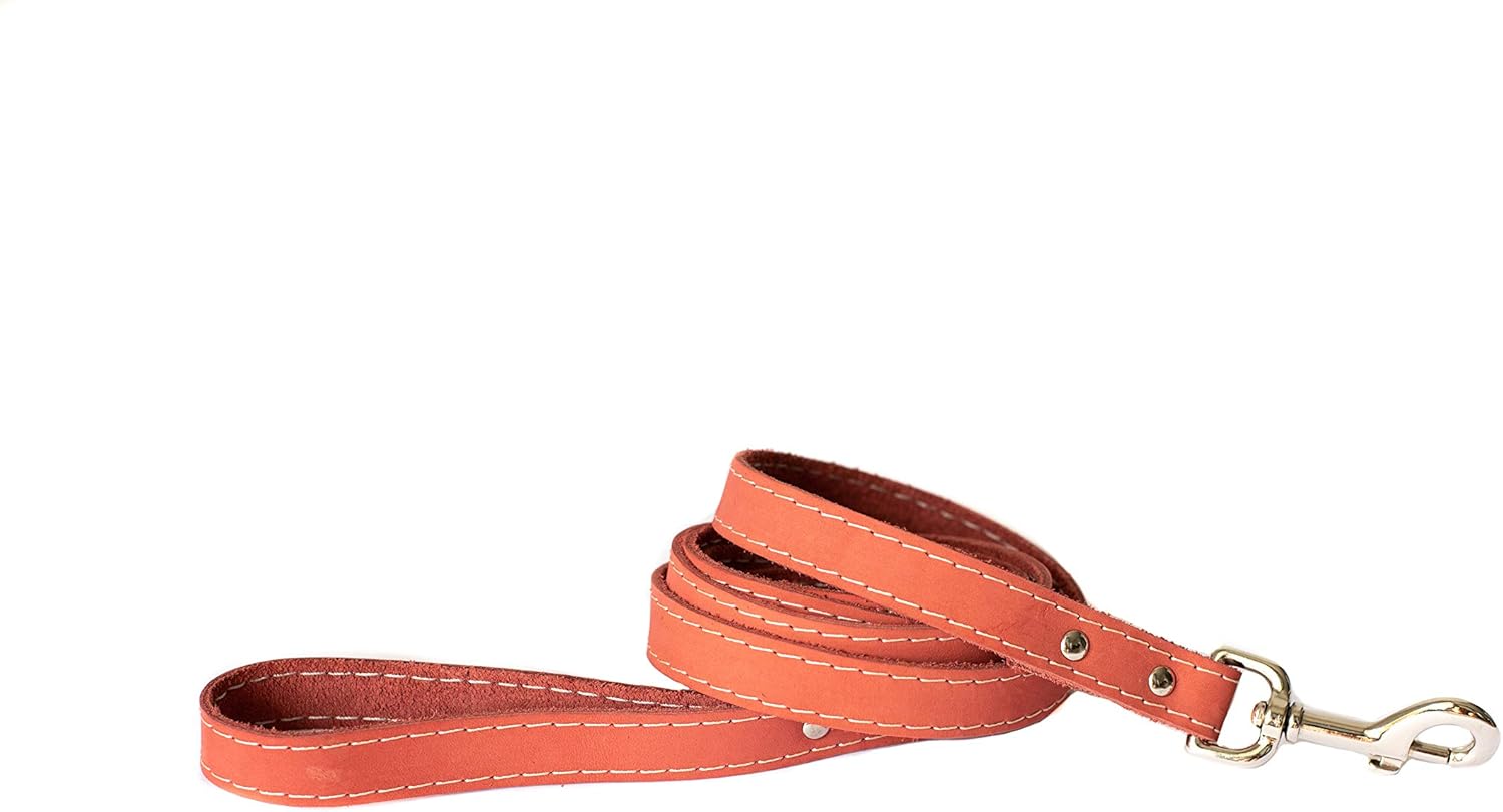 Euro Dog Leash Affordable European Luxury Coral Soft Leather Dog Lead Made in USA
