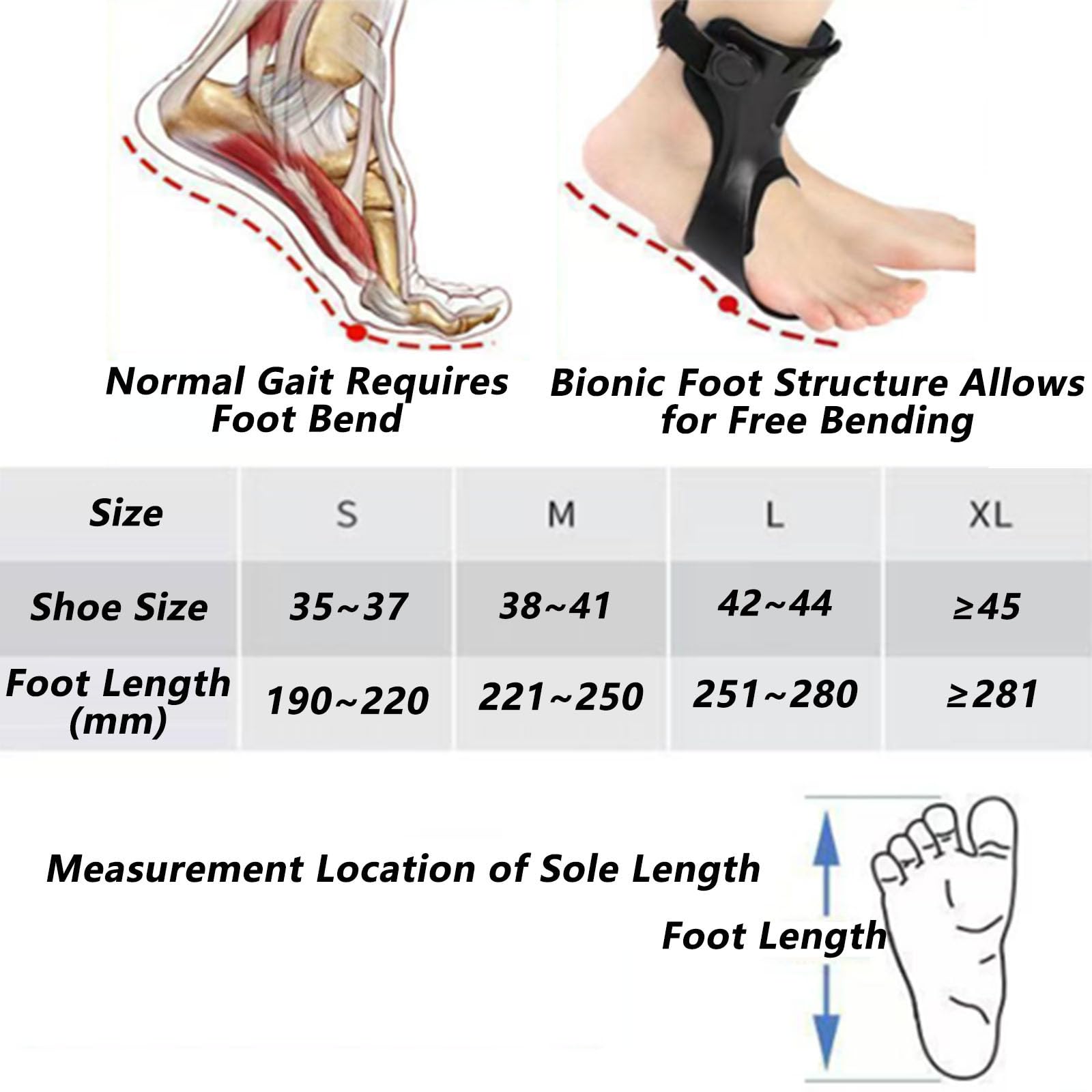 SFKLYU Ortesis AFO para Pie Caído, Estabilizador de Caída del Pie, Soporte Ortopédico Ajustable de Tobillo y Pie con Bolsas de Aire Inflables para Compatibilidad con Calzado,Left,L