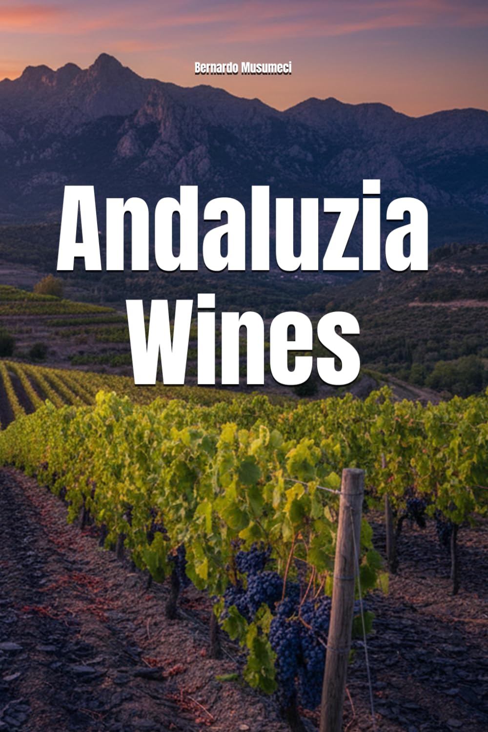 Andaluzia Wines (Wines of the World: Spain)