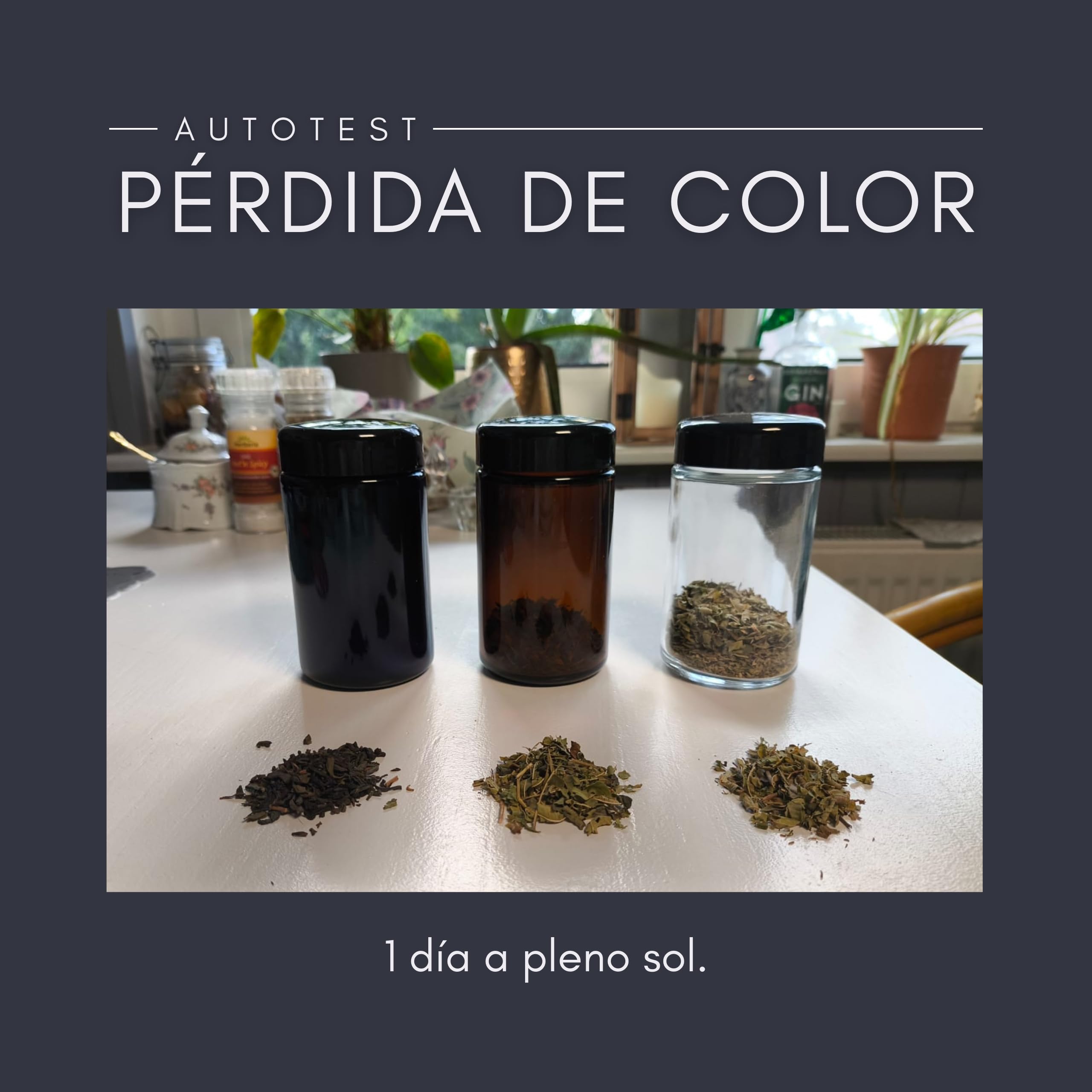 ANCEVIA Tarros de Cristal con Tapa 1000 ml – Set de 6 Botes Herméticos de Vidrio Violeta Miron para Cocina – Conservación Premium para Café, Harina, Arroz y Hierbas – Protección UV