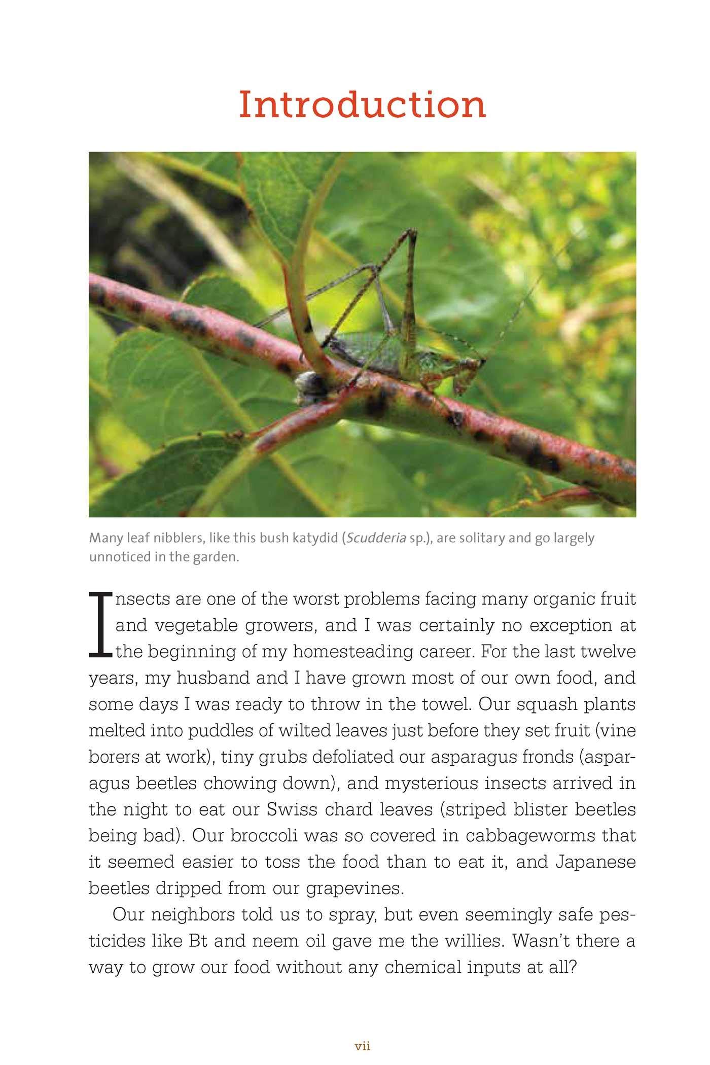 Organic Pest Control: Chemical-Free Gardening -5 Organic Pest Control: Chemical-Free Gardening -5