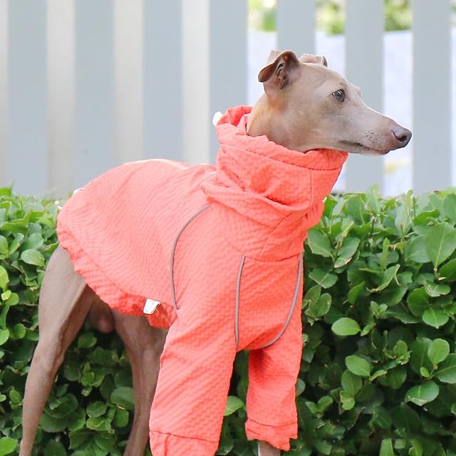 Foto 4 de 6 de IUOUTG Chaqueta Ligera para Perros Cortavientos, Chaqueta Deportiva Al Aire Libre para Mascotas De Cuello Alto
