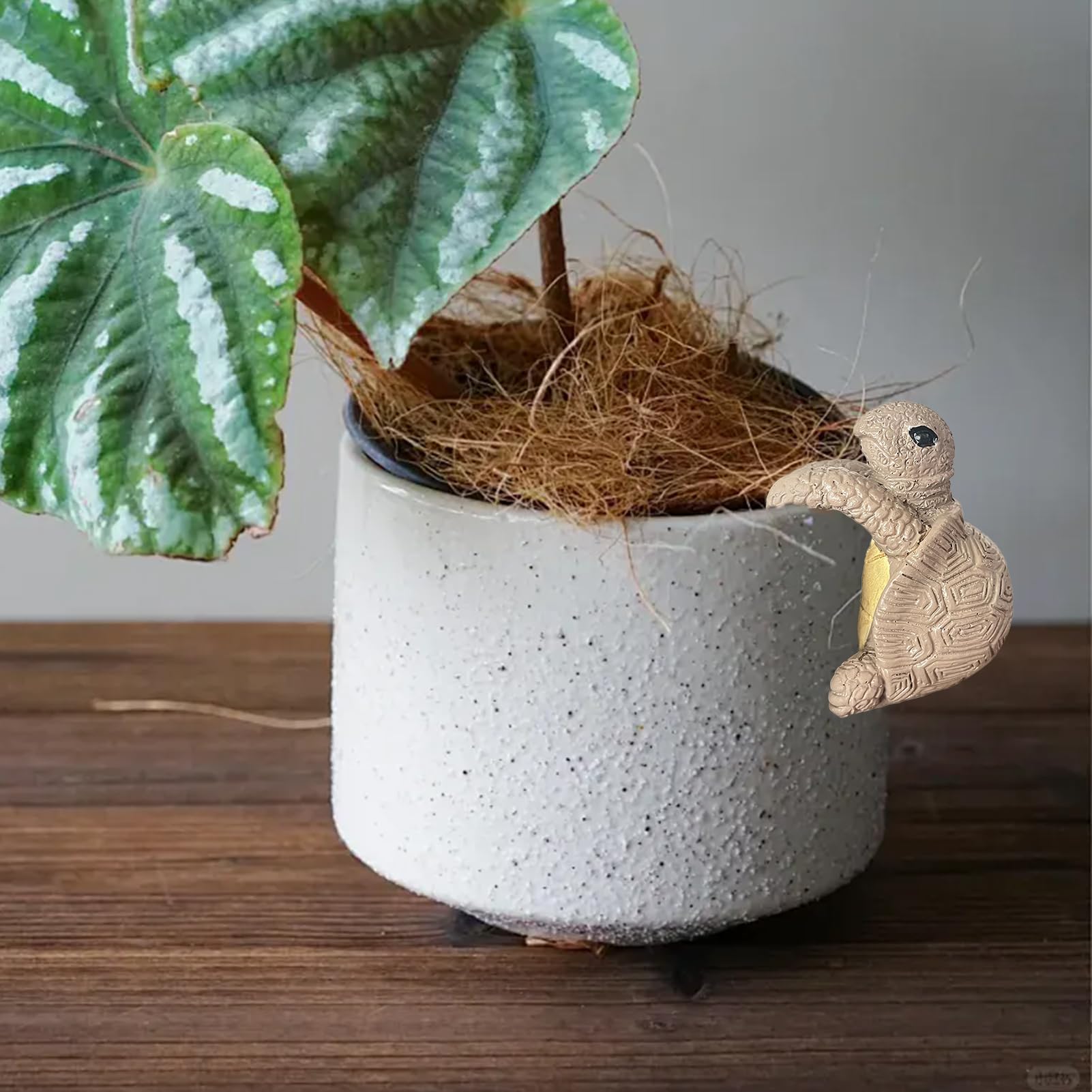 Kletterschildkröte Blumentopf-Hugger – Aus Kunstharz, 9,5x7,5x12 Cm, Deko Für Garten & Balkon