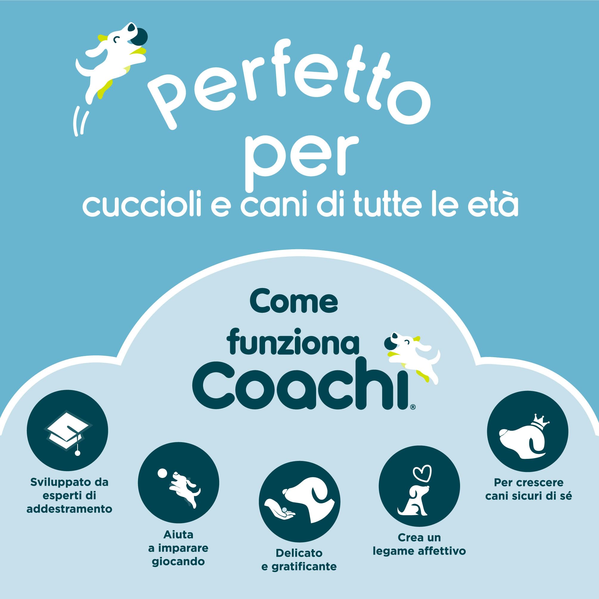 Coachi Training Whistle, Perfetto per addestramento al richiamo e all’obbedienza, Suono Forte e Chiaro, Leggero e Compatto, Cordino Riflettente Regolabile, Adatto all’addestramento di Cani e Cuccioli