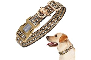 Best Labrador Dog Collar: Auroth Dog Collar for Medium Large Dogs, Reflective...