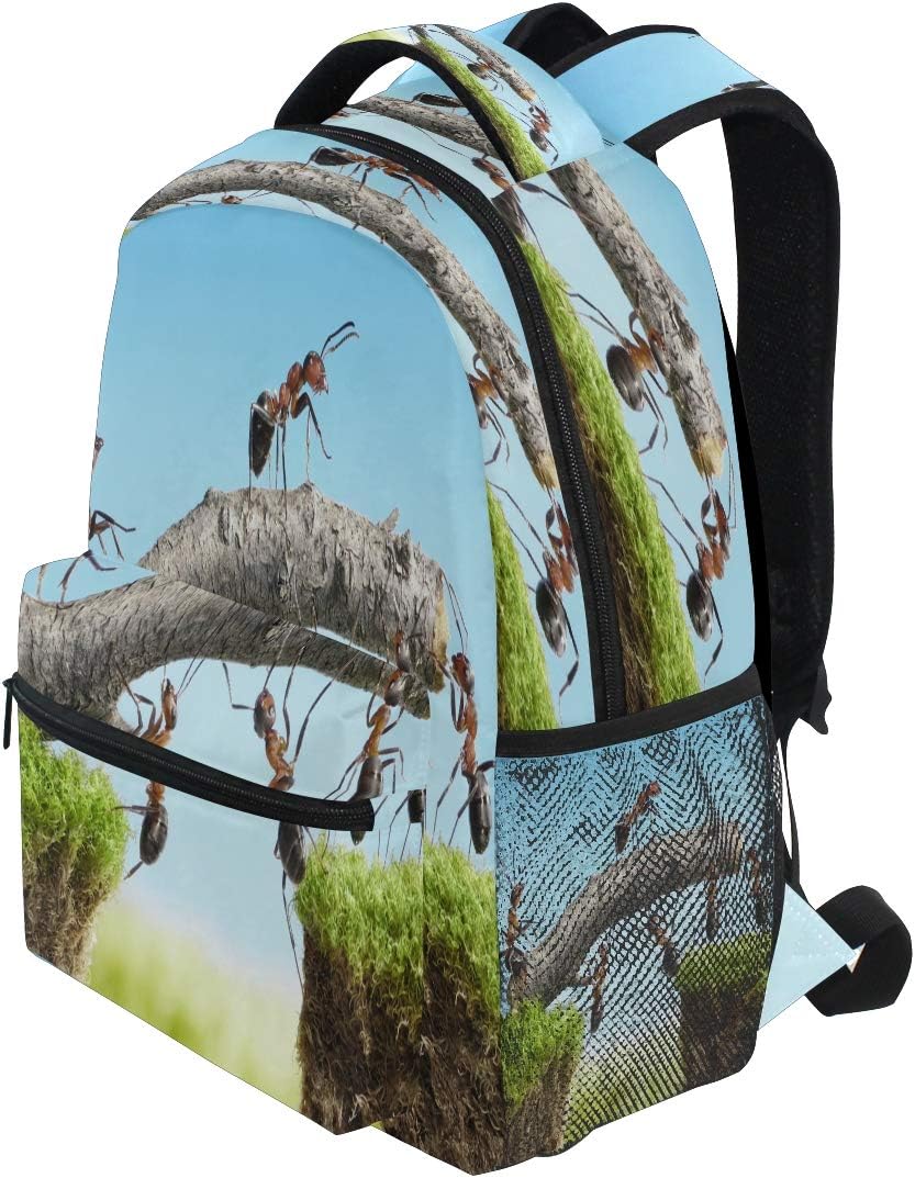 Blueangle Ant Team Backpack, Water Resistant School Bookbag image 3