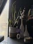 Review Image by MP