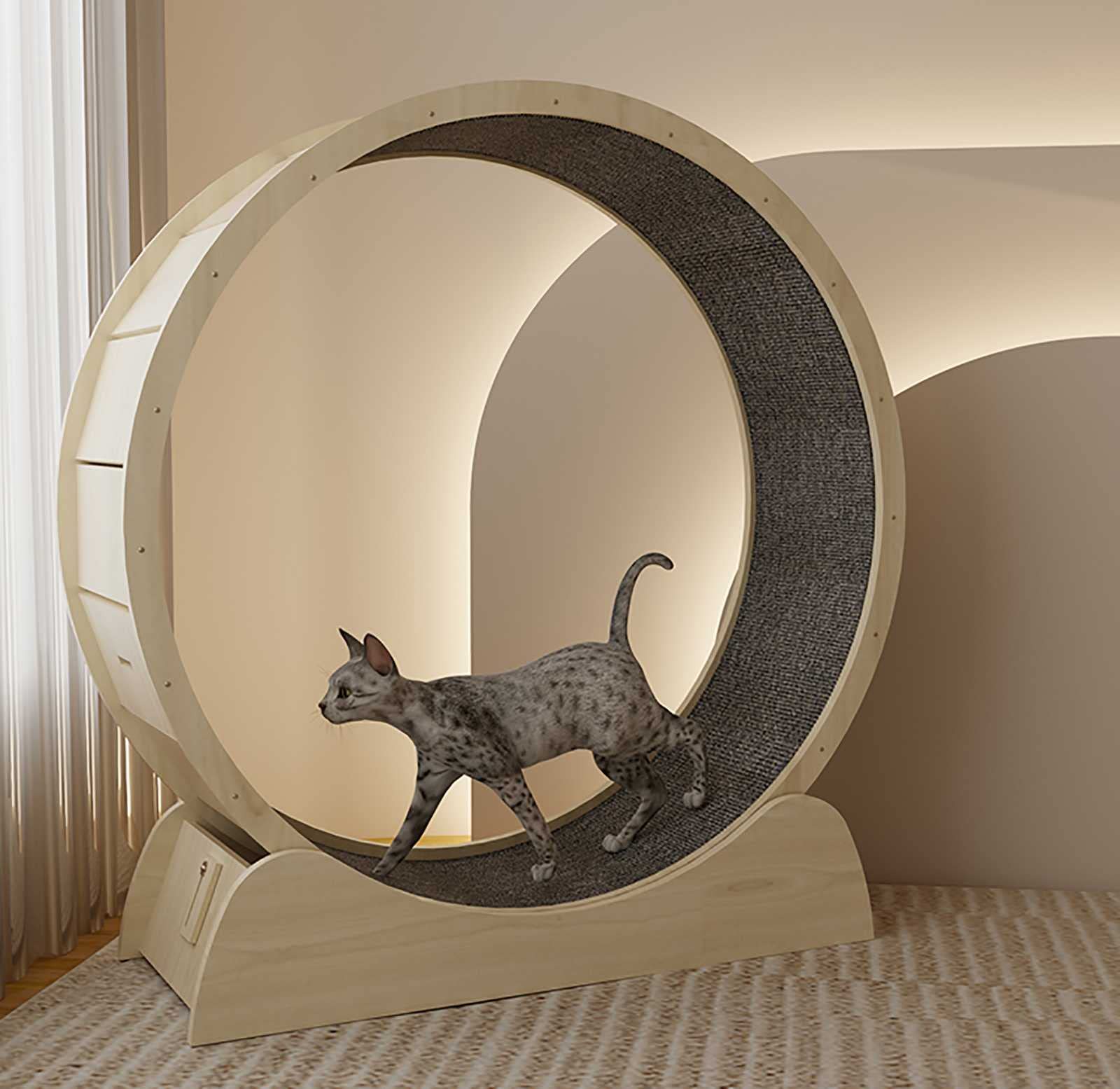 Amazon.co.jp: キャットホイール 猫 ランニング マシン 猫回し車