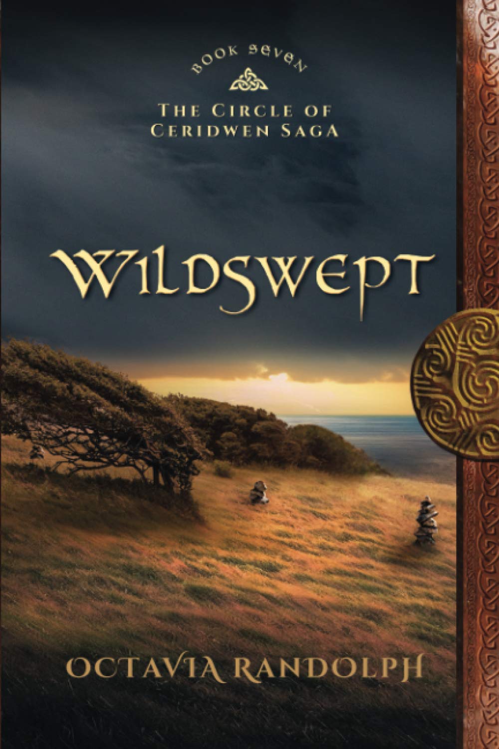 Wildswept: Book Seven of the Circle of Ceridwen Saga: 7
